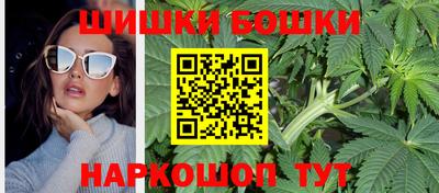 молекула духа Кингисепп