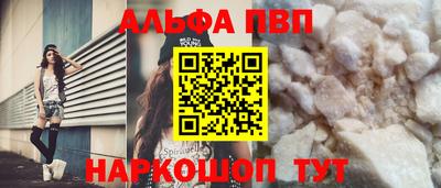 молекула духа Кингисепп
