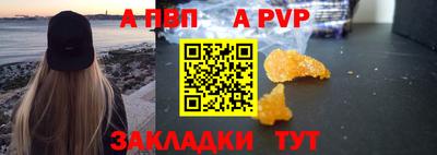 молекула духа Кингисепп