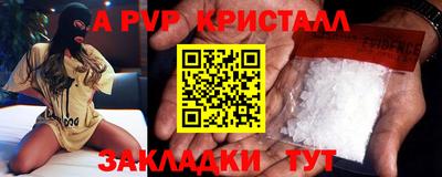 молекула духа Кингисепп