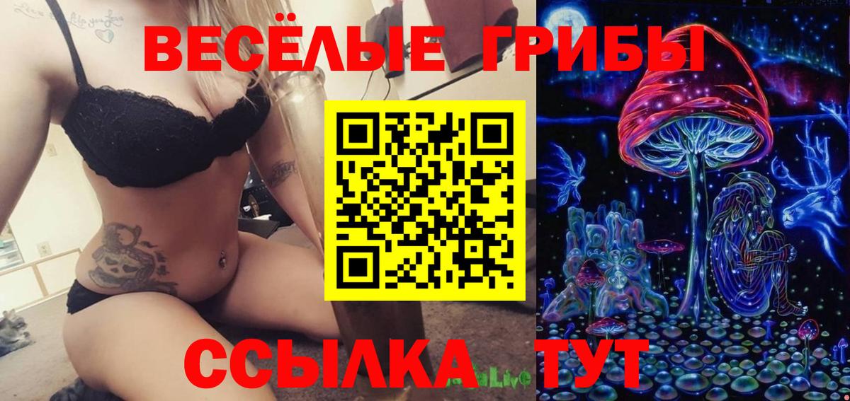 Красногорск  Галлюциногенные грибы Cubensis  Вход с VPN 
